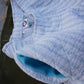 Pinstripe Quilt Pant